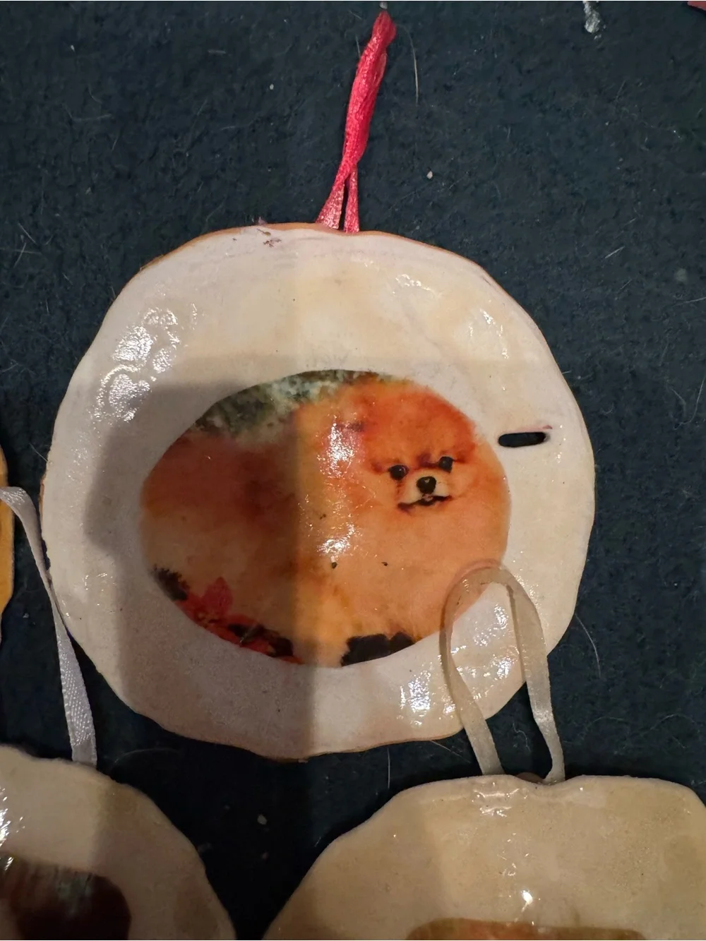 Handmade Pet Ornament real sand dollars - Pomeranian Design - Multicolor